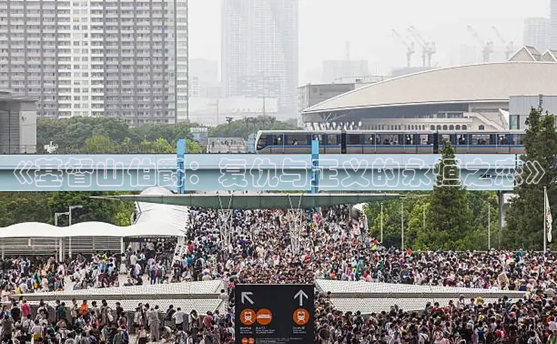 五一动画网页版